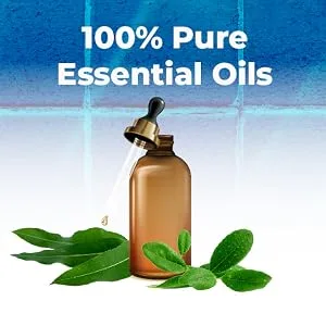 New Vapor Shower Tablets (10 Tabs) Pure Eucalyptus & Camphor 10 Count (Pack of 1) - 100% Pure Essential Oils + Menthol