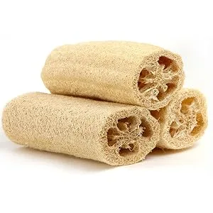 Natural Boar Bristle Body Brush with Wooden Handle by Spa Destinations for wet or dry brushing bath and shower 1 Pack - loofah