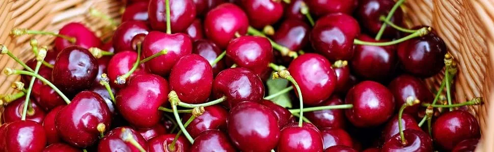 Uric Acid Support Cleanse & Kidney Function Control - Supports A healthy Natural Gout Inflammation - Herbal Cleanse Detox for Joint Pain Swelling & Stiffness Includes Tart Cherry Celery Seed Extract - tart cherry capsules, kidney support, kidney flush, gout supplements, uric acid test kit, uric acid