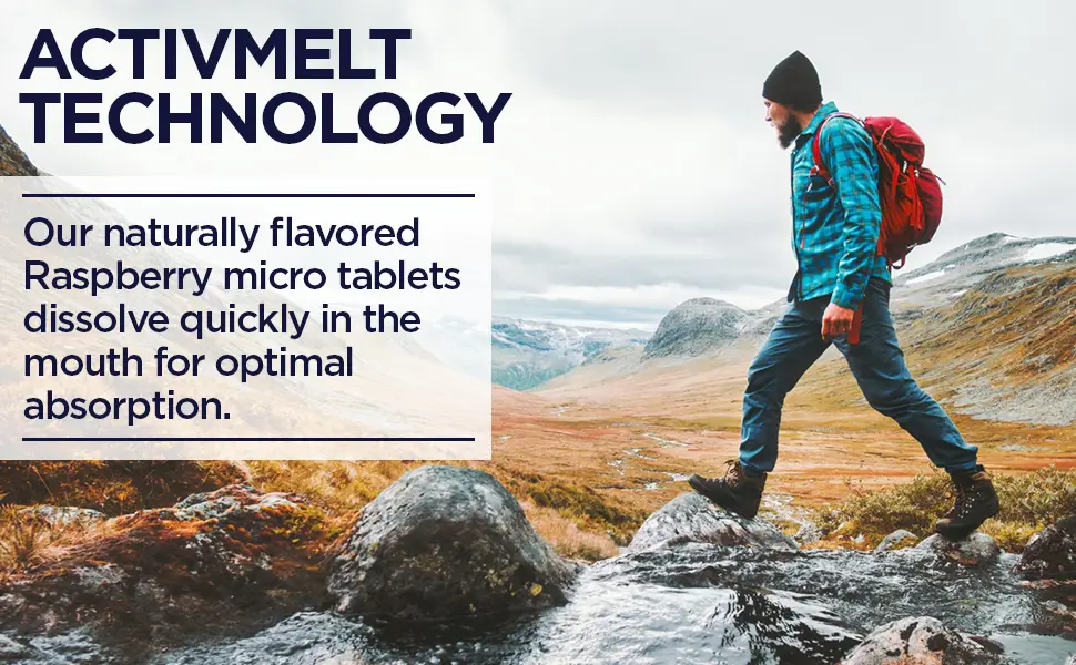 KAL Vitamin B12 Methylcobalamin 5000mcg Healthy Energy Metabolism Nerve & Red Blood Cell Support * Fast Dissolve ActivMelts Optimal Absorption Natural Raspberry Flavor 90 Servings 90 Micro Tabs - methyl b12 b complex immune support energy sublingual pills heart vascular