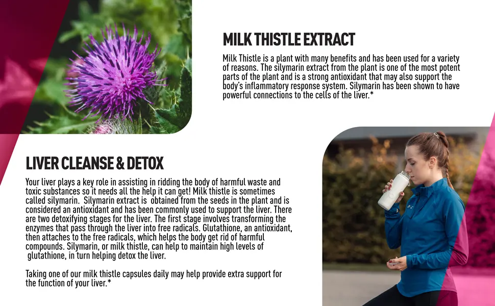 Milk Thistle Extract 1000mg Capsules | 200 Servings Support Healthy Liver Function & Overall Wellness | Antioxidant Support Liver Function Support Detoxification Support | Non-GMO 3rd Party Tested - Liver cleanse & detox