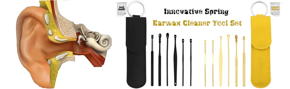 Innovative Spring Earwax Cleaner Tool Set 6pc Steel Ear Pick Wax Cleaner Earpick Curette Remover Earwax Removal Cleaner Ear Cleansing Tool Set Ear Curette Cleaner with a Storage Box (Black) - Innovative Spring Earwax Cleaner Tool Set