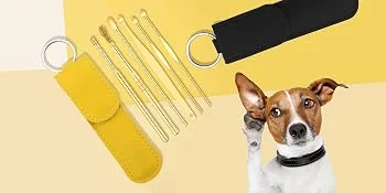 Innovative Spring Earwax Cleaner Tool Set 6pc Steel Ear Pick Wax Cleaner Earpick Curette Remover Earwax Removal Cleaner Ear Cleansing Tool Set Ear Curette Cleaner with a Storage Box (Black) - Innovative Spring Earwax Cleaner Tool Set