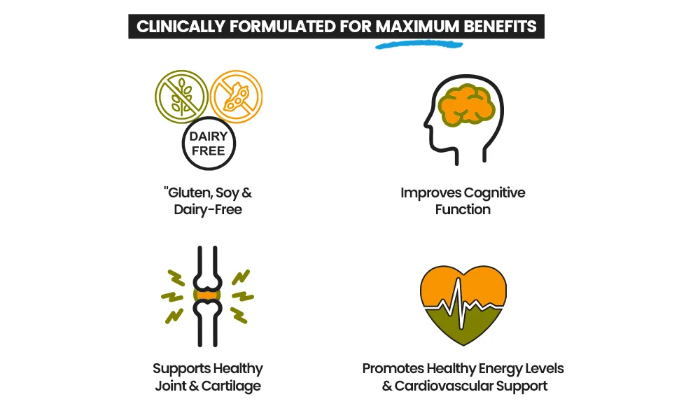 Maximize Within Turmeric Curcumin with Moringa - Supplement That Supports Inflammatory Response & Occasional Joint Discomfort. Antioxidant Properties with 95% Curcuminoids. 60 Capsules - Turmeric & Moringa Points