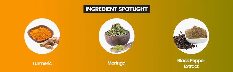 Maximize Within Turmeric Curcumin with Moringa - Supplement That Supports Inflammatory Response & Occasional Joint Discomfort. Antioxidant Properties with 95% Curcuminoids. 60 Capsules - Turmeric and Moringa Ingredient Spotlight