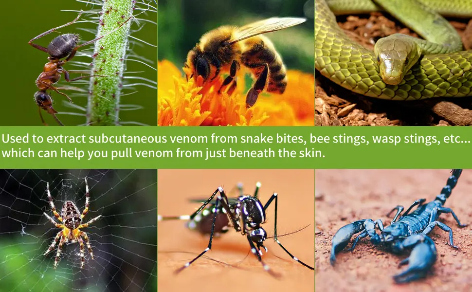 Floverkity Bug Bite Suction Tool Bug Bite Itch Relief Vacuum Venom Extractor Poison Remover Snake Bite Kit Mosquito Bite Sucker Bee Sting Relief First Aid - mosquito bite sucker sting relief snake bite kit for humans hiking supplies bee sting
