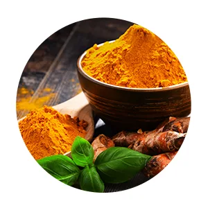 Turmeric Curcumin with Black Pepper Extract 1500mg Highest Potency High Absorption Joint & Healthy Inflammatory Support with 95% Curcuminoids 60 Veggi Capsules - Turmeric Extract