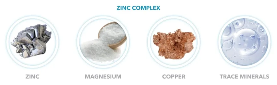 Balanced Health Zinc Complex - 30 Servings 2oz Peppermint Flavor Vegan Liquid Ionic Zinc Sulfate Drops Plus Trace Minerals for Daily Immune System Support - Balanced Health Zinc Complex contains zinc, magnesium, copper and trace minerals