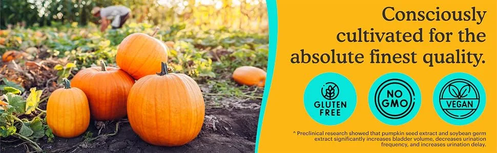 Because - Bladder Support Supplement with Pumpkin Seed Extract for Strength Incontinence Urinary Frequency - 600mg per Serving - 60 Bladder Ease Capsules - 4 pumpkins of various sizes in a pumpkin patch