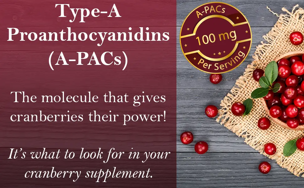 Fermented Cranberry Extract  Urinary Tract Health  100mg of Type-A Proanthocyanidins (PAC) per Serving  Sugar Free  60 Vegan Capsules (500mg) - Fermented Cranberry Extract Type-A Proanthocyanidins PAC Urinary Tract Bladder Health Support UTI