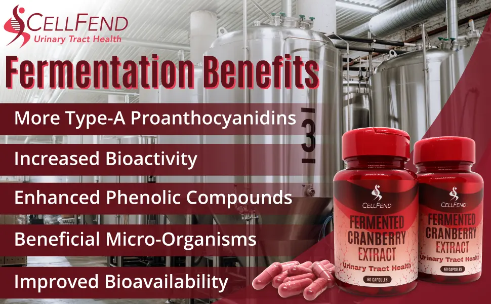 Fermented Cranberry Extract  Urinary Tract Health  100mg of Type-A Proanthocyanidins (PAC) per Serving  Sugar Free  60 Vegan Capsules (500mg) - Fermented Cranberry Extract Type-A Proanthocyanidins PAC Urinary Tract Bladder Health Support UTI