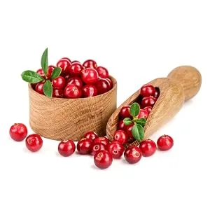 Fermented Cranberry Extract  Urinary Tract Health  100mg of Type-A Proanthocyanidins (PAC) per Serving  Sugar Free  60 Vegan Capsules (500mg) - Fermented Cranberry Extract Type-A Proanthocyanidins PAC Urinary Tract Bladder Health Support UTI