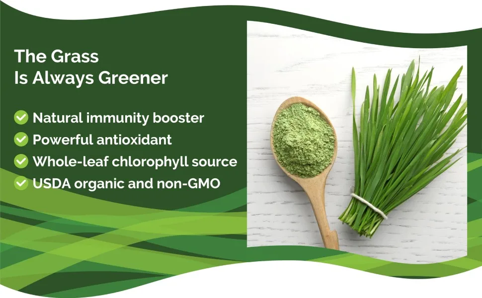 Zint Wheatgrass Powder Organic (8 oz): Powerful Immune Support Supplement Whole Leaf Antioxidant Chlorophyll Source for Detox Immunity Booster - natural immune support immunity booster antioxidant detox chlorophyl