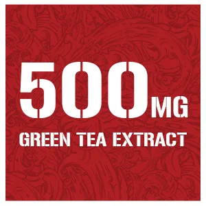 5% Nutrition Shred Time Fat Burner | Green Tea Coffee Bean Cayenne Theobromine GBB | Appetite Suppression | 30 Servings (180 Capsules) - Shred Time