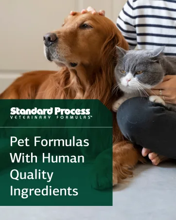 Standard Process Cyruta - Whole Food Cholesterol Support Immune Support Heart Health with Ascorbic Acid Oat Flour and More - 90 Tablets - Pet Formulas With Human Quality Ingredients