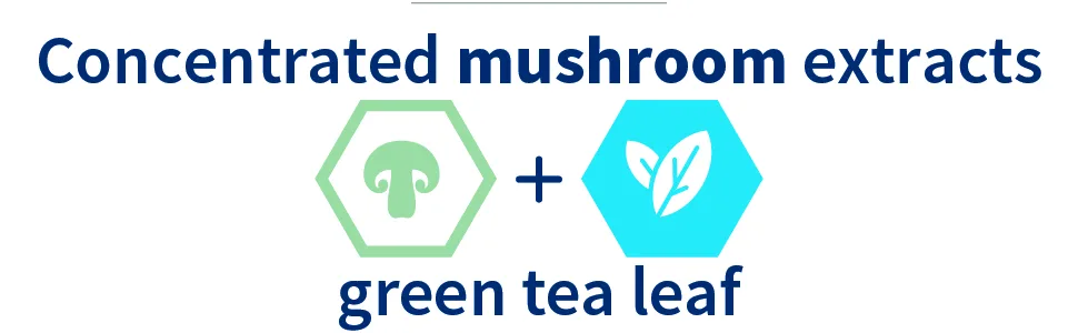 Klaire Labs Immunomax - Mushroom Immune Support Formula with Cordyceps Turkey Tail Reishi & Green Tea Extract (90 Capsules) - mushroom extracts with green tea leaf