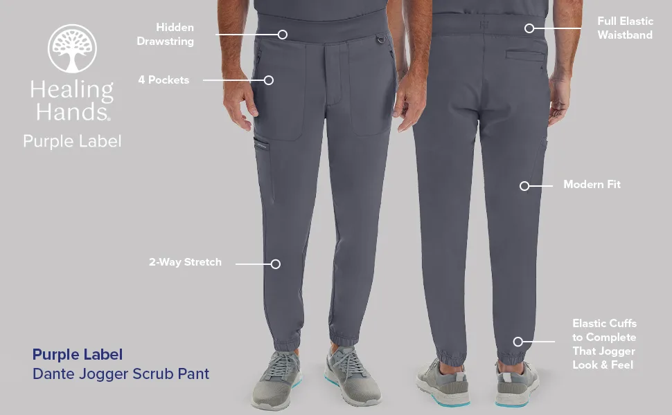 Healing Hands Mens Scrubs Drawstring Jogger Pant 4 Pocket Purple Label 9301 Dante Scrub Pants for Men Large Pewter - 9301 dante jogger scrub pant