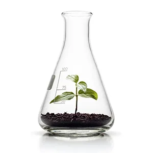 BIOTICS Research Chlorella Capsules Chlorella Supplements for Digestion Detox and Immune Support 180 Capsules - Story