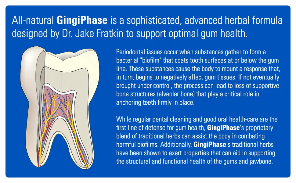 GingiPhase Natural Herbal Dental Support Supplement for Healthy Gums Teeth and Jaw Circulation (120 Capsules) - product information 2
