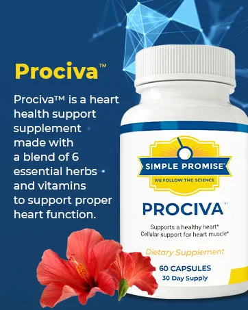 Simple Promise - Levitox - Groundbreaking Weight and Liver Support - Aids Digestive Enzymes 60 Capsules - Simple Promise