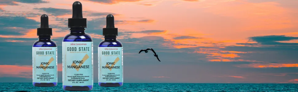 Good State Liquid Ionic Manganese Ultra Concentrate (10 Drops Equals 5 mg - 100 Servings Per Bottle) - Good State Manganese 2 fluid ounces