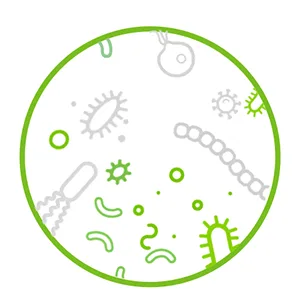 AnimalBiome Cat Oral Cleanse Powder Prebiotic Supports Healthy Oral and Gut Microbiome - KittyBiome - Missing beneficial microbes