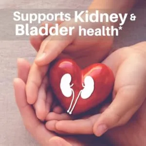 Kidney Cleanse Supplement SpeedyVite (2 fl oz) Drops - speedyvite supports kidney bladder health urinary tract