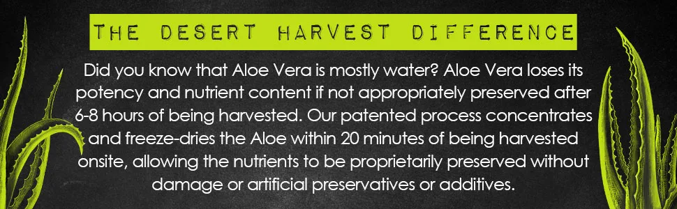 Desert Harvest B-Complex - Without B6 90 Capsules - Aloe Vera, processed within 20 minutes of being harvested, active aloe vera, enhanced absorption