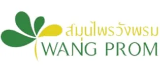 Wang Prom Cool Herbal Balm/Salve 20g (Green) - wang prom3