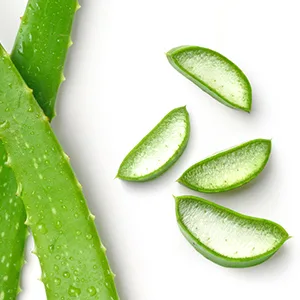TriDerma Scar Block Soothing Clear Gel - Aloe