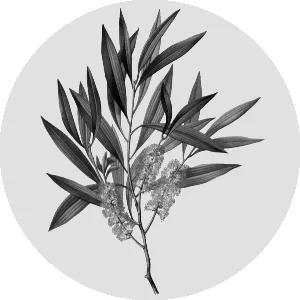 EverOne Industrial & Welding Burn Kit - tea tree