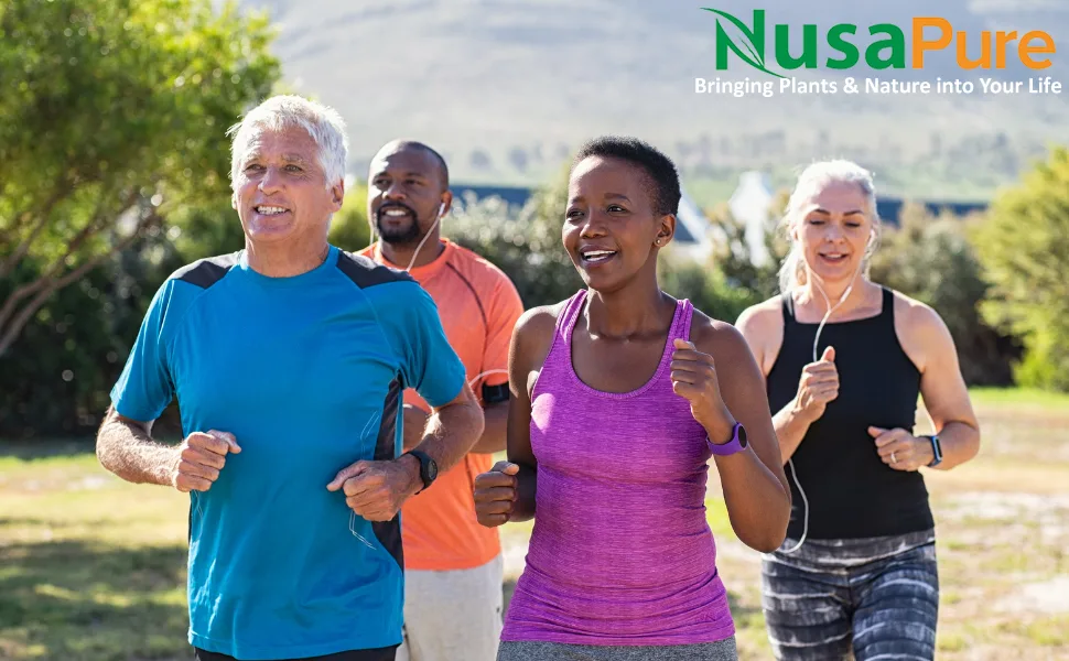 NusaPure Colon Complex 90 Capsules - Nusapure