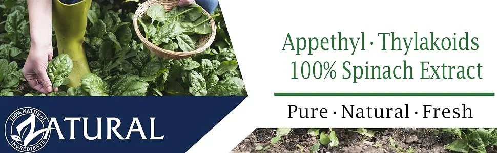 Zatural Appethyl (30 Day Kids) - appethyl