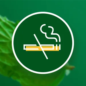 Quit Smoking Lozenges - If nicotine is the problem, why should I use nicotine-based gum or lozenges?
