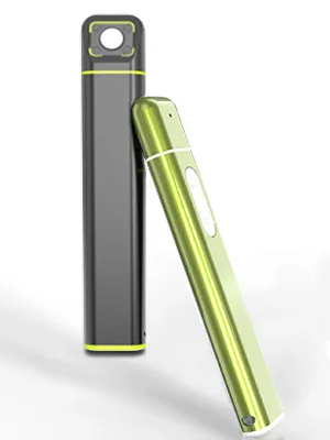 Vibis Insect Bite and Sting Relief Rechargeable Bug Bite Itch Relief Thing Fast Symptom Relief for Mosquito Bites Chemical-Free Treatment Natural Relief from Bug and Mosquito Bites Itching - Green - Vibis bite healer