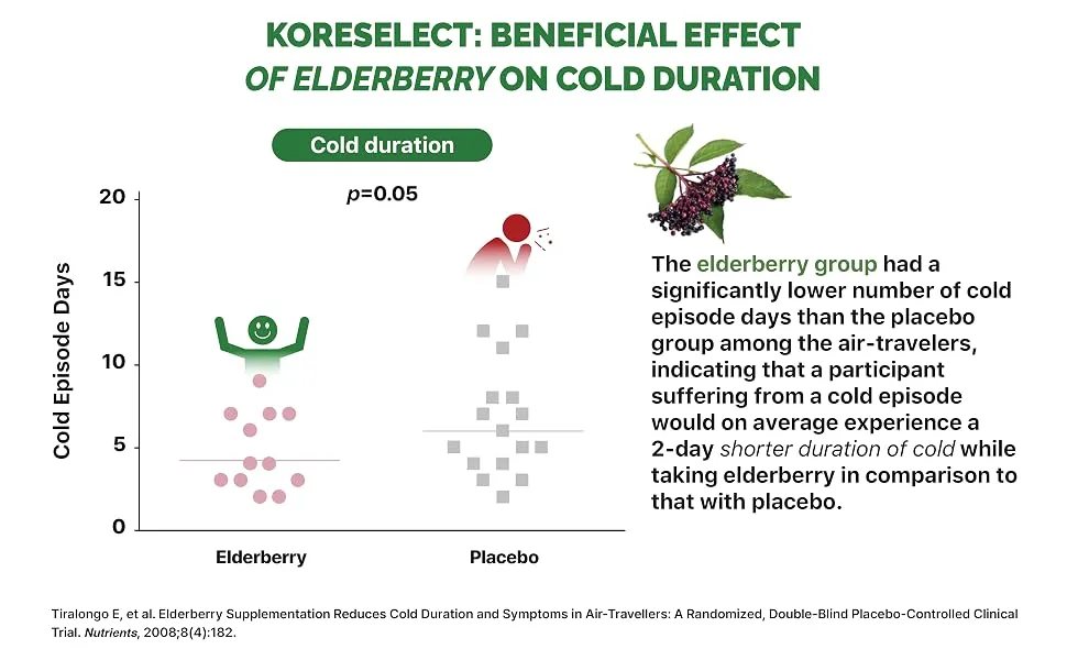 KORESELECT Elderberry Capsules with Panax Ginseng - Immune Support 6-in1 Herbal Blend with Zinc Ginger Echinacea Reishi Mushrooms - 60 Capsules - ED_04