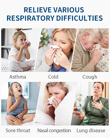 Portable Nebulizer - Nebulizer Machine for Adults and Kids Travel and Household Use Handheld Mesh Nebulizer for Breathing Problems APOWUS. - apowus portable nebulizer