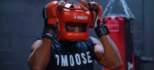 DMoose Multivitamin with Vitamin A C E K2 & 250 mg Strontium 100 mg Ginger Extract 100 mg Garlic Extract 120 Tablets (30 Servings) - DMoose Boxing