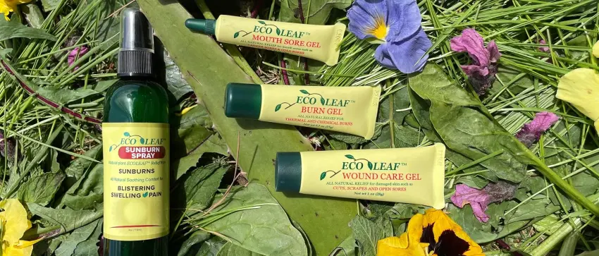ECOLEAF Natural Sunburn Spray | Made in The USA with Organic Plant Extracts & Oils | Symptomatic Sun Burn Relief - butt cream insect bite stick