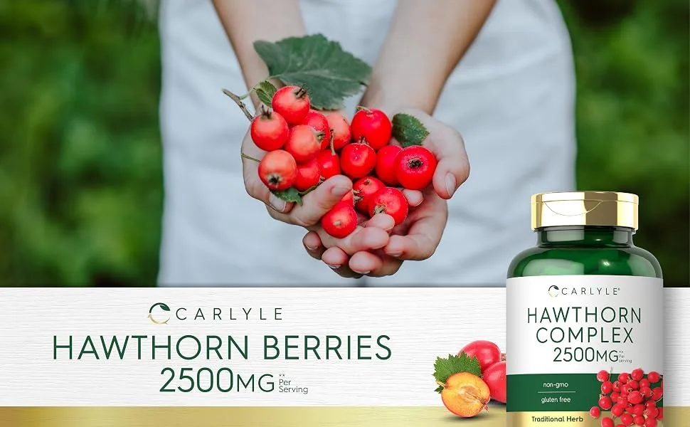 Carlyle Hawthorn Berry Complex | 2500mg | 120 Capsules | Extract Powder Pills | Non-GMO & Gluten Free Supplement - Hawthorn Berries