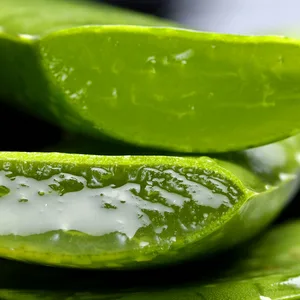 Bella All Natural Pure Aloe Vera Juice (UnFlavored) 32 Oz - Antioxidant and Rehydration Drink - aloe vera