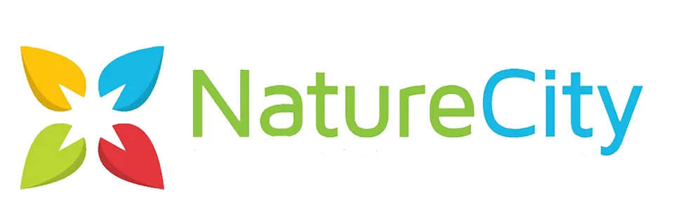 NatureCity TrueMagnesium Highly Absorbable Magnesium Bisglycinate Chelate 60 Servings - product information 3