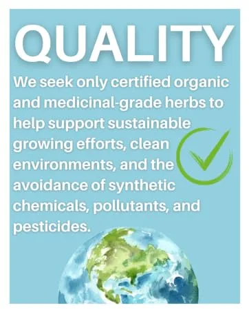 Mucus Cleanse Extract Phlegm Relief - Restored By Life Quality