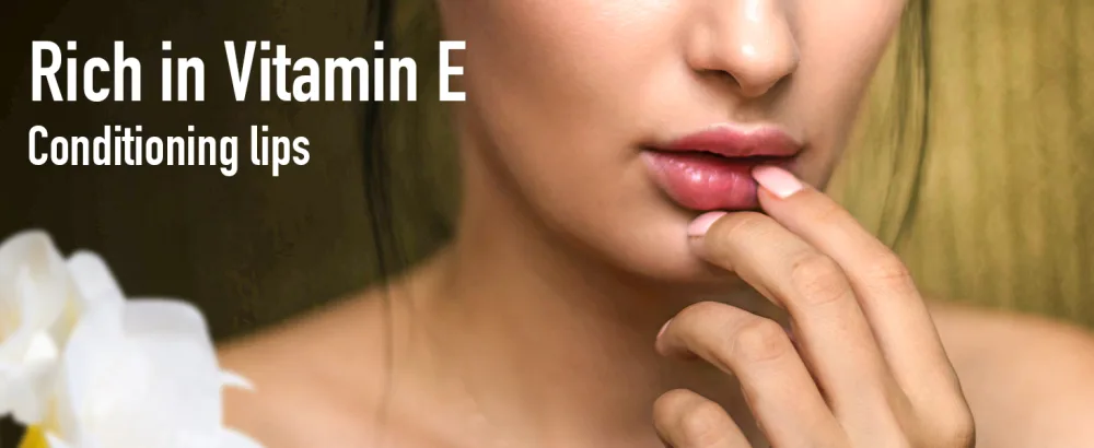 24 Pack Lip Balm Natural Lip Balm Bulk Lip Care Product Moisturizing Lip Balm for dry cracked lips A-24 - product information 6