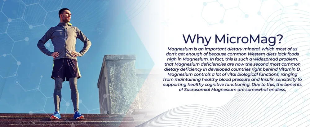 MicroMag Magnesium Capsules | 625mg | 90 Count | Contains 200mg of Elemental Magnesium 90 Count (Pack of 1) - MicroMag