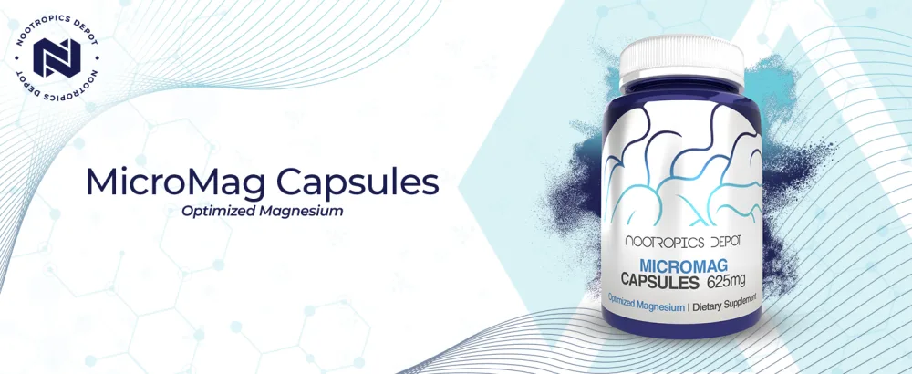 MicroMag Magnesium Capsules | 625mg | 90 Count | Contains 200mg of Elemental Magnesium 90 Count (Pack of 1) - MicroMag