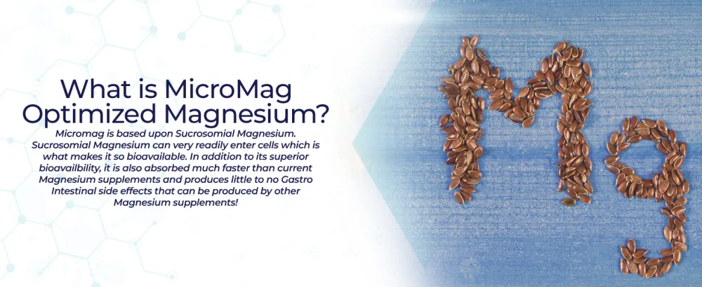 MicroMag Magnesium Capsules | 625mg | 90 Count | Contains 200mg of Elemental Magnesium 90 Count (Pack of 1) - MicroMag