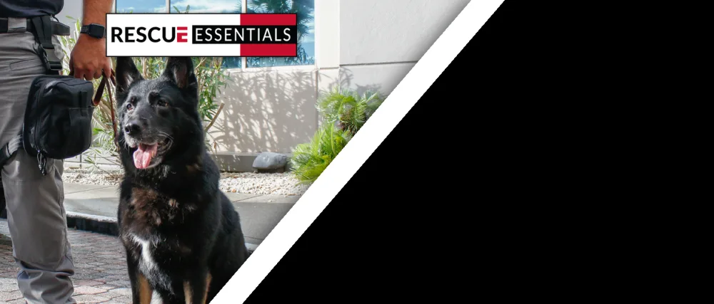 Rescue Essentials Triple Antibiotic 10 pack Unit Doses - k9 with officer