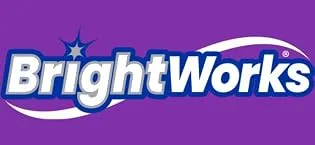BrightWorks End Tuft Brush Cleans Difficult Areas Such as Around Crowns Bridges implants and Wider Gaps Between Teeth (Pack of 3) - Brightworks Oral Care Dental Floss Picks