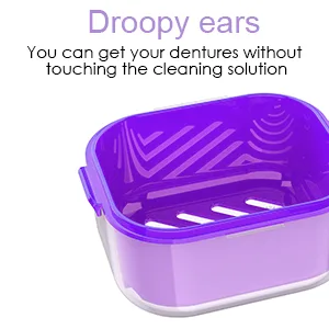 ARGOMAX Denture case Denture cup for Soaking Dentures Thorough Cleaning of Dentures Retainer Clear Braces (Dark Purple) Clear Case + Purple Filter and Tray - Denture Bathing Box